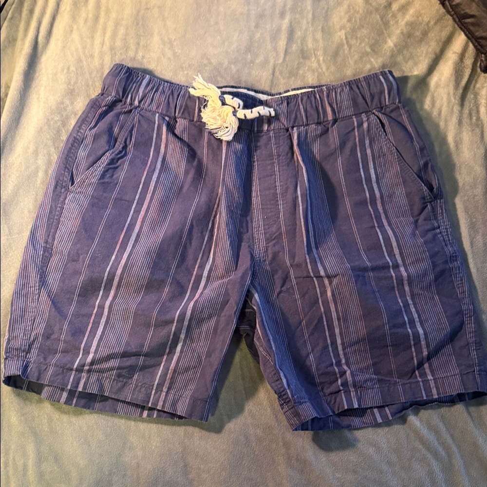Scotch & Soda Blue Striped Swim Trunks